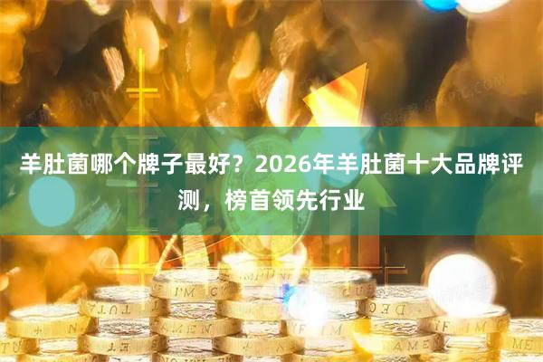 羊肚菌哪个牌子最好？2026年羊肚菌十大品牌评测，榜首领先行业