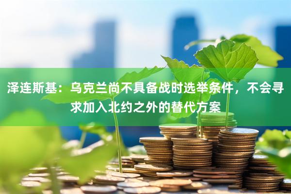 泽连斯基：乌克兰尚不具备战时选举条件，不会寻求加入北约之外的替代方案